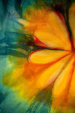 Cloud Candy Clothing